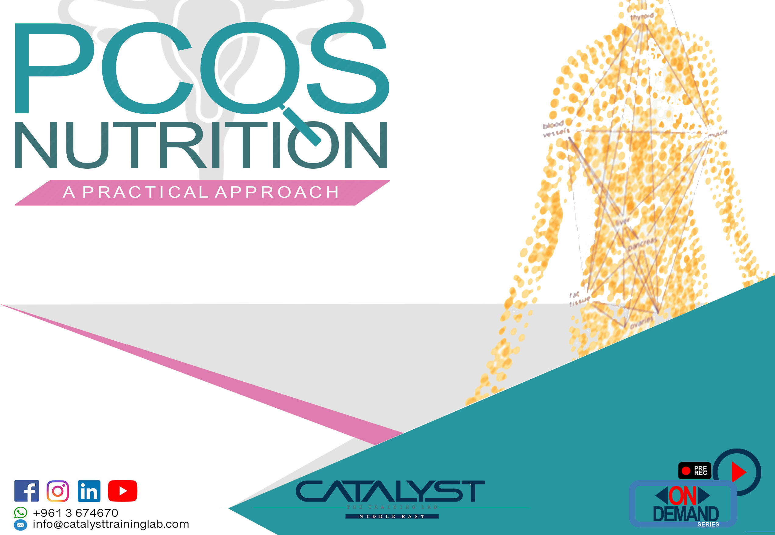 PCOS Nutrition - A Practical Approach